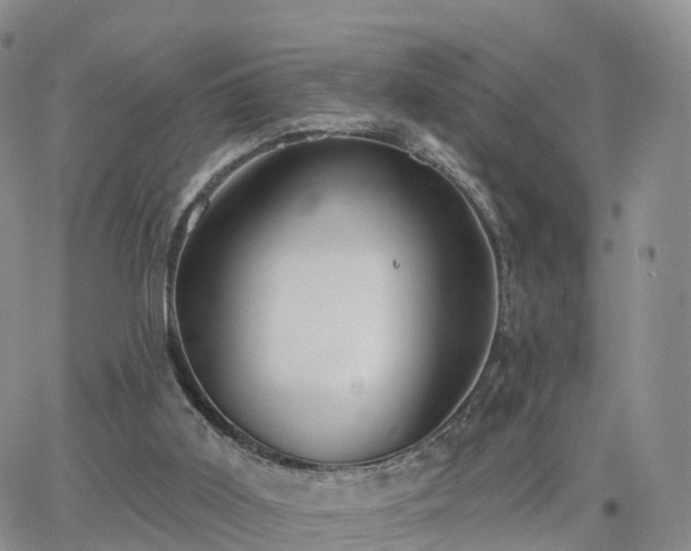 X0000063490011200601231423