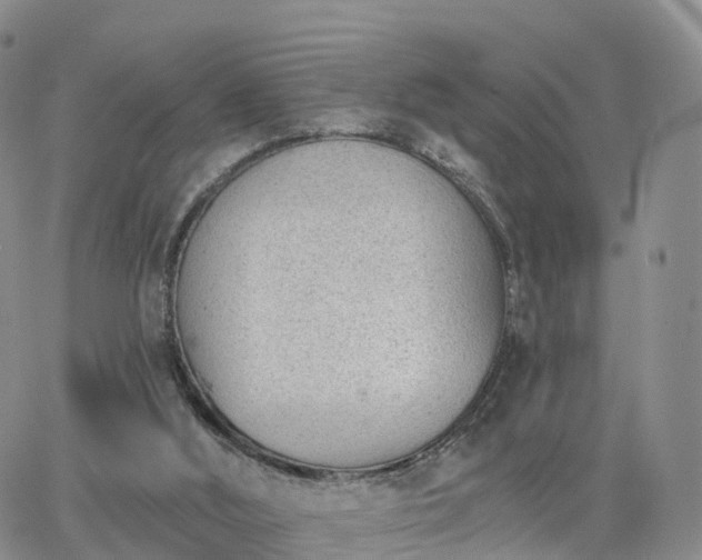 X0000063490012200601231423