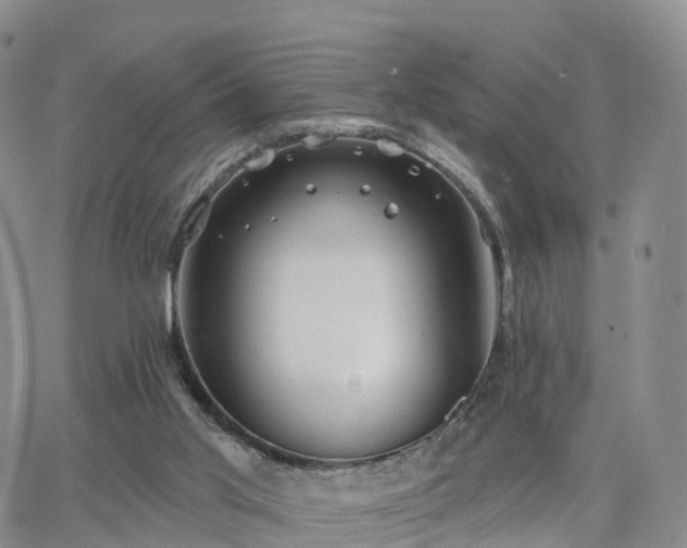 X0000063490013200601231423