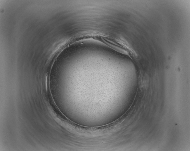 X0000063490014200601231423