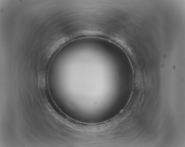 X0000063490015200601231423