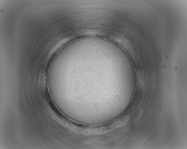 X0000063490016200601231423