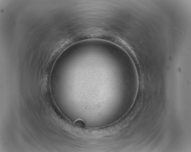 X0000063490018200601231423