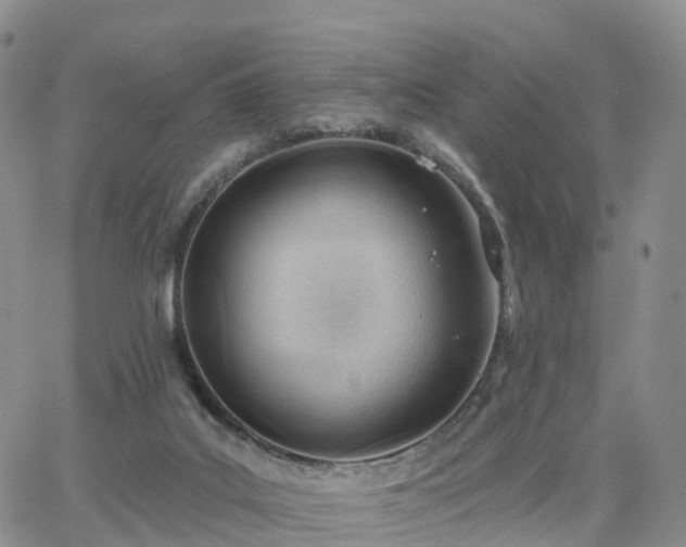 X0000063490019200601231423