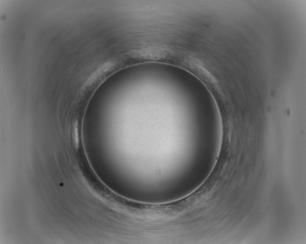 X0000063490020200601231423