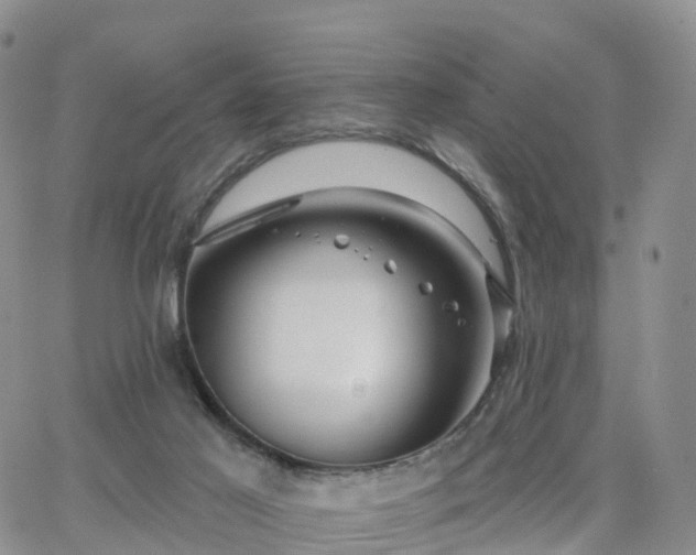 X0000063490021200601231423