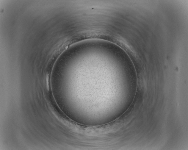 X0000063490022200601231423