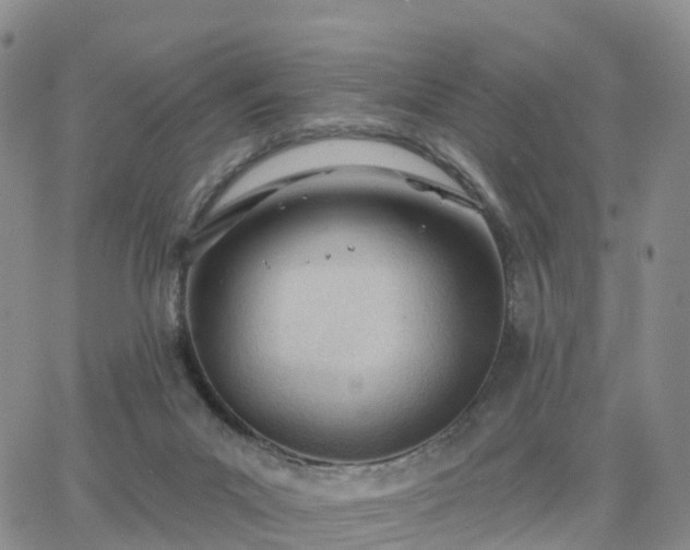 X0000063490023200601231423