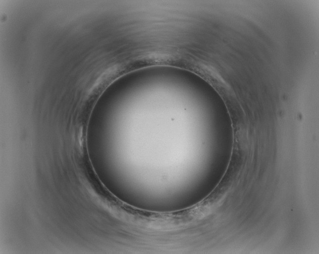 X0000063490024200601231423