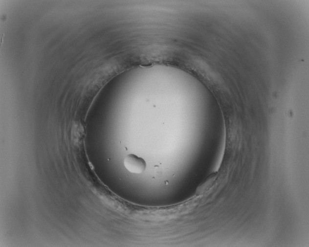 X0000063490025200601231423