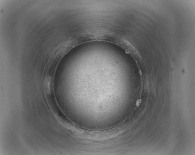 X0000063490026200601231423