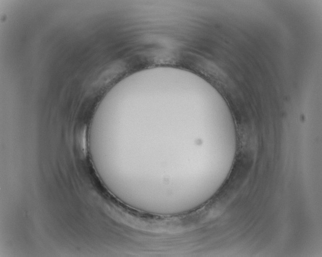 X0000063490028200601231423