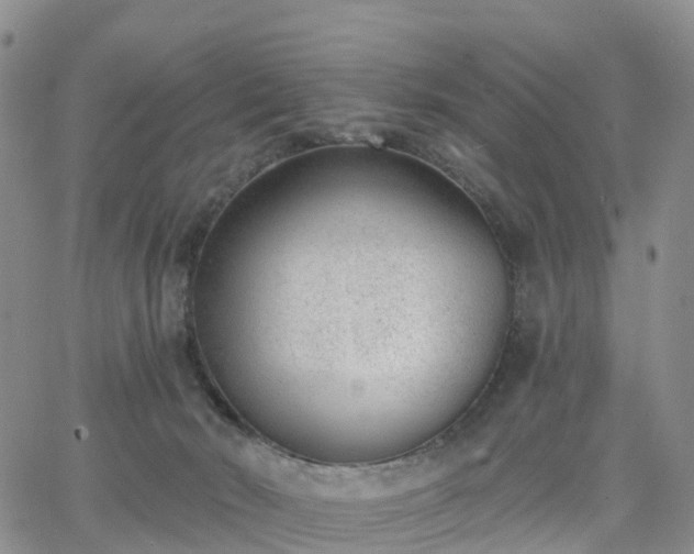 X0000063490030200601231423