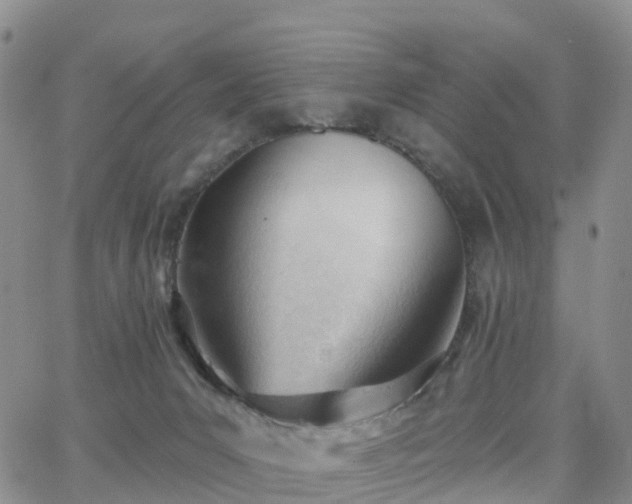 X0000063490031200601231423