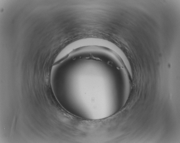 X0000063490033200601231423