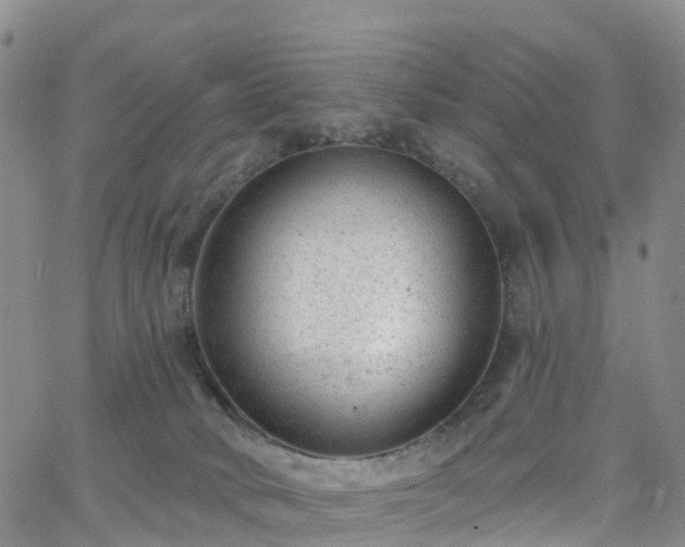 X0000063490034200601231423