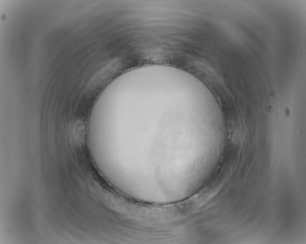 X0000063490036200601231423