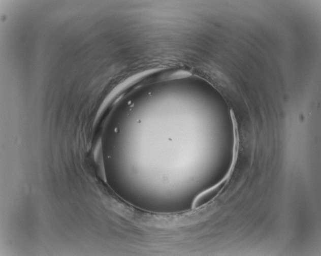 X0000063490037200601231423