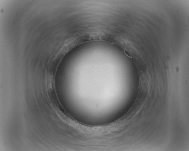 X0000063490038200601231423