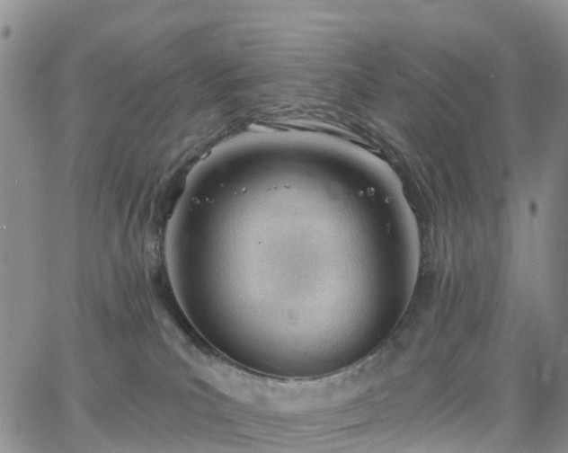 X0000063490039200601231423