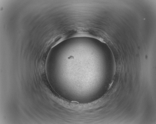 X0000063490043200601231423