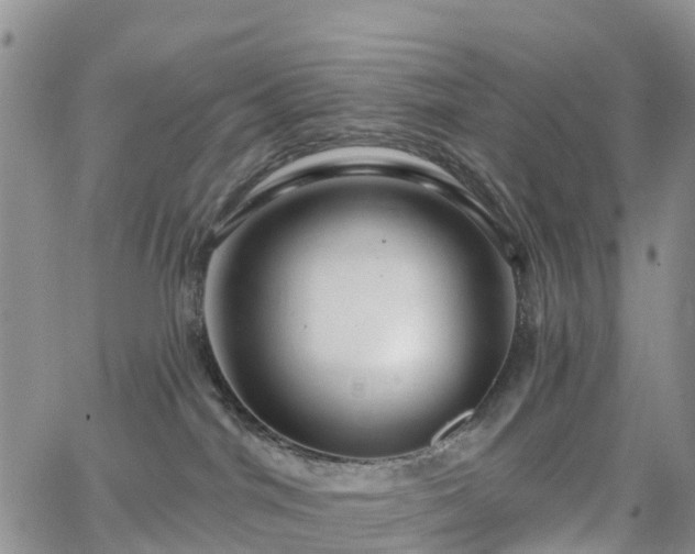 X0000063490044200601231423