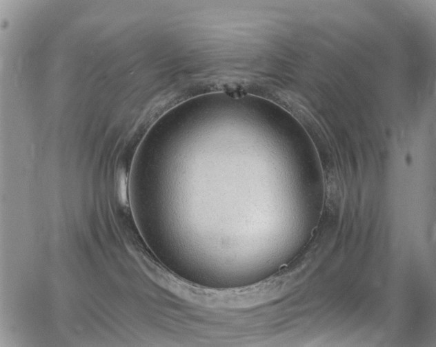 X0000063490046200601231423