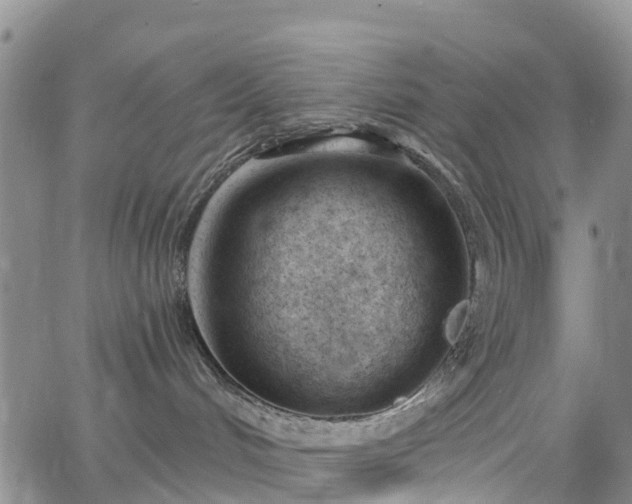 X0000063490048200601231423