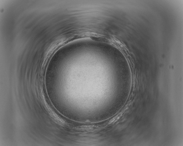 X0000063490049200601231422