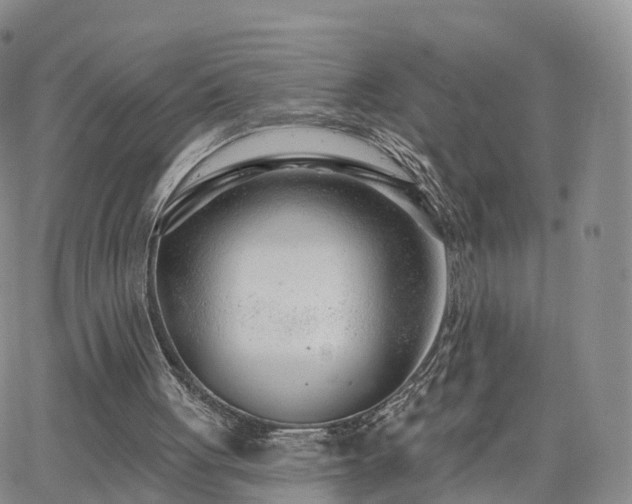 X0000063490051200601231422