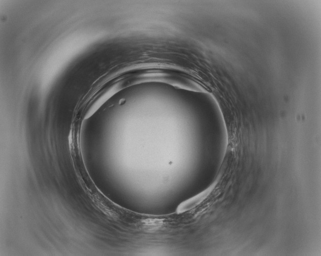 X0000063490052200601231422