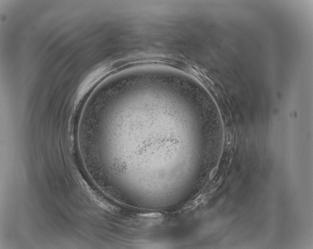 X0000063490053200601231422