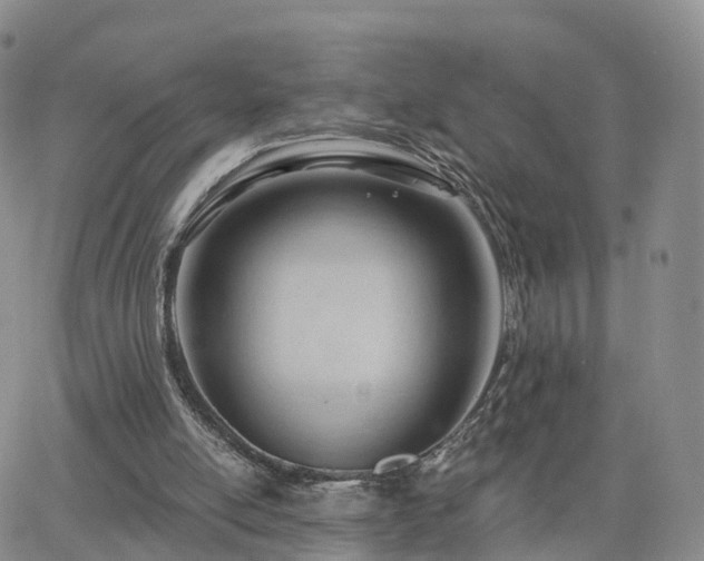 X0000063490054200601231422