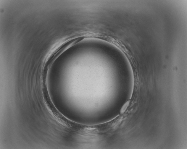 X0000063490055200601231422