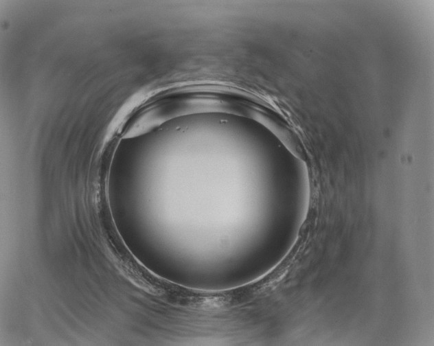 X0000063490056200601231422