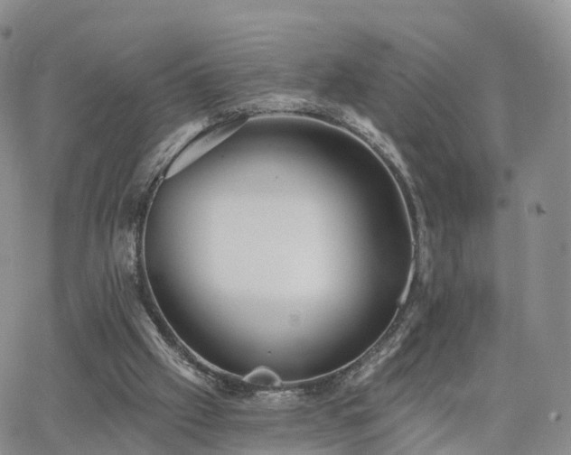 X0000063490057200601231422