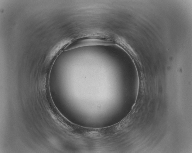 X0000063490058200601231422