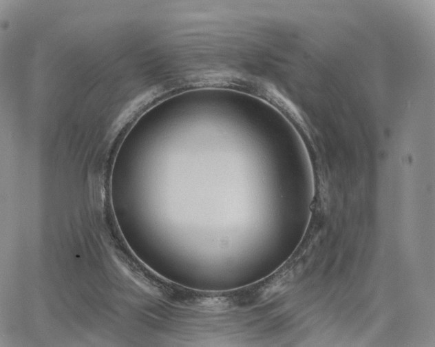 X0000063490059200601231422