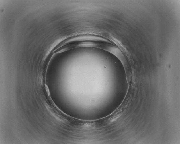 X0000063490060200601231422