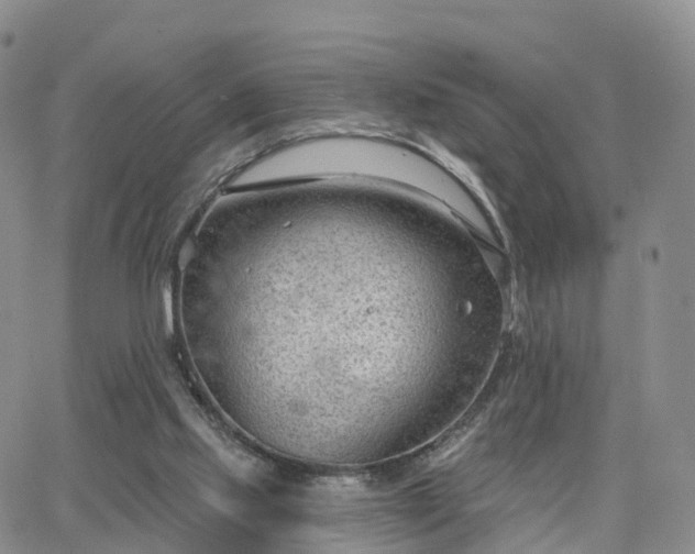 X0000063490061200601231422