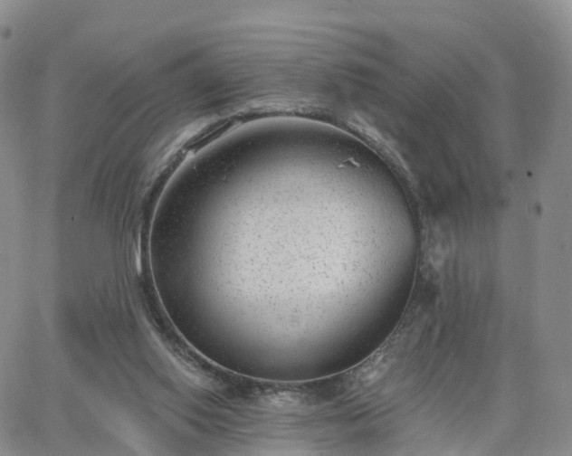 X0000063490062200601231422