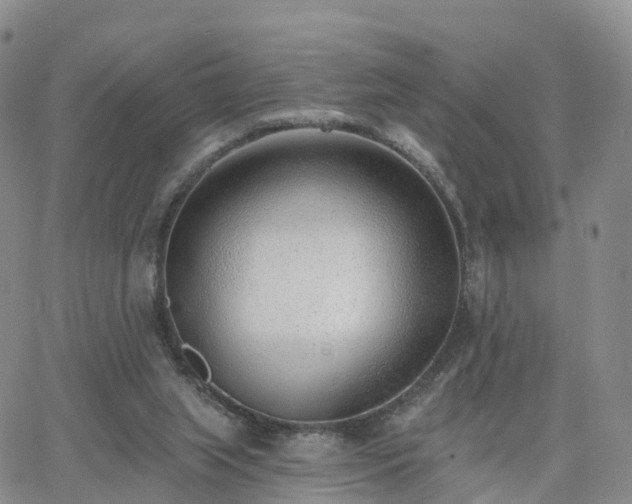 X0000063490063200601231422