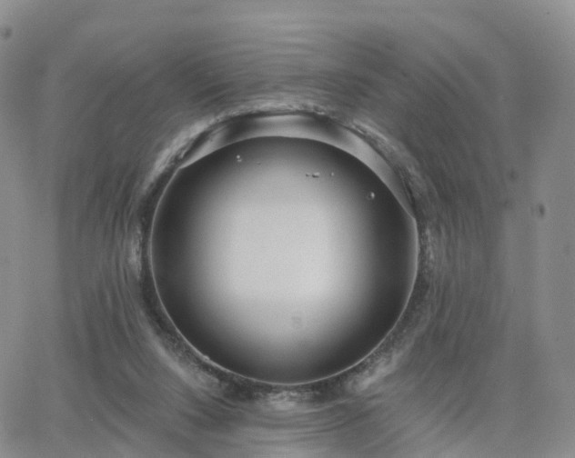 X0000063490064200601231422