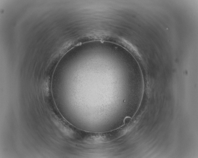 X0000063490065200601231422