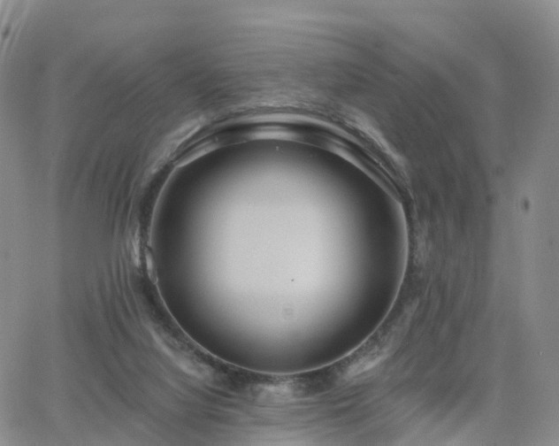 X0000063490068200601231422