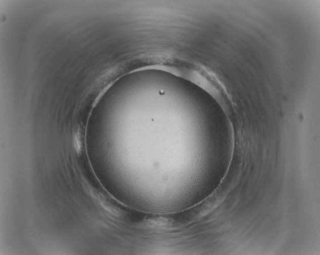 X0000063490069200601231422