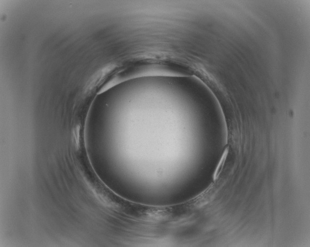 X0000063490070200601231422