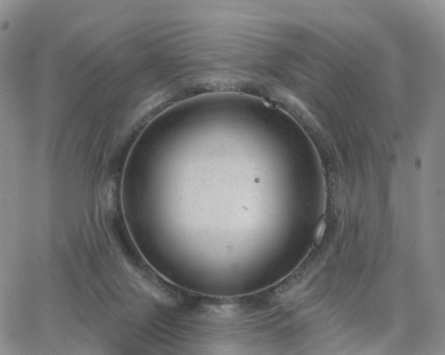 X0000063490071200601231422