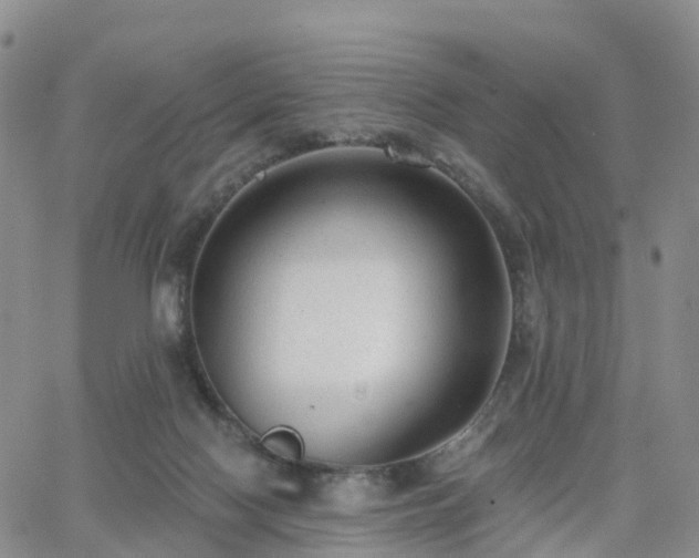 X0000063490074200601231422