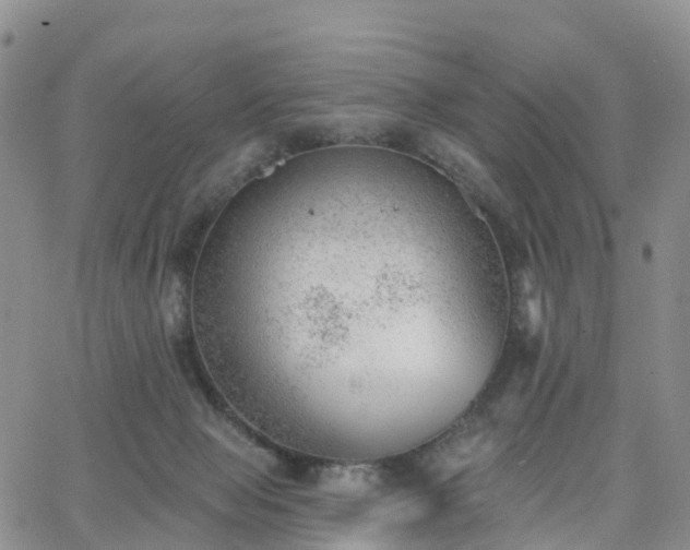 X0000063490077200601231422